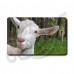 GOAT LUGGAGE TAGS - WHITE