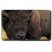 BISON LUGGAGE TAGS