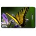 CECROPIA BUTTERFLY LUGGAGE TAGS