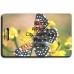 LANGES METALMARK BUTTERFLY LUGGAGE TAGS