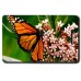 MONARCH BUTTERFLY LUGGAGE TAGS