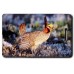 PRARIE CHICKEN LUGGAGE TAGS
