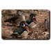WOOD DUCK LUGGAGE TAGS