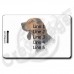 AMERICAN ENGLISH COONHOUND LUGGAGE TAGS