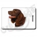 AMERICAN WATER SPANIEL LUGGAGE TAGS