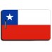 CHILE FLAG LUGGAGE TAGS