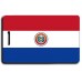 PARAGUAY FLAG LUGGAGE TAGS