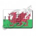 FLAG OF WALES LUGGAGE TAGS