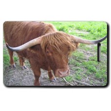 COW LUGGAGE TAGS - HIGHLAND